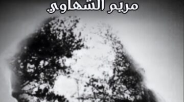 رواية لا تخافي عزيزتي الفصل الثالث وعشرون 23بقلم مريم الشهاوي (حصريه وجديده في مدونة مصر بوست)