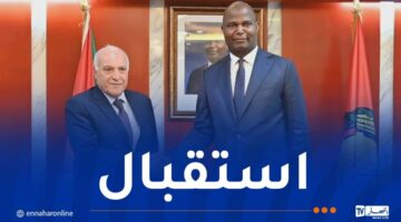 عطاف يُستقبل من قبل رئيس جمهورية موزمبيق – مصربوست