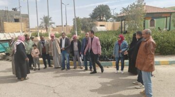 تنمية سيناء.. بحوث الصحراء يدعم المزارعين بـ 5 آلاف شتلة زيتون