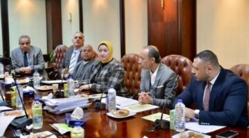لجنة «آليات التصدي للشائعات» بـ «الأعلى للإعلام» تعقد ثاني جلساتها