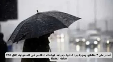عاجل: الأرصاد تحذر من أمطار شديدة وبرد قطبي يضرب 7 مناطق بالسعودية