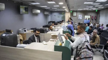 سعر الدولار اليوم: استقرار مقابل الجنيه المصري الخميس 27 مارس 2025