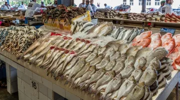 أسعار السمك اليوم في مصر 27 مارس 2025: تحديث جديد للأسواق