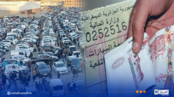 اكتشف أحدث أسعار قسائم السيارات لهذا العام – دليل شامل على مصربوست