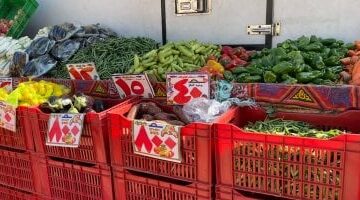 تحديث أسعار الخضراوات في الإسماعيلية ليوم السبت 8 مارس 2025