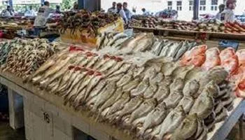 أسعار الأسماك اليوم في سوق العبور: تحديث الأربعاء مع التفاصيل