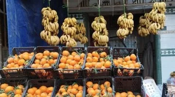 أسعار الفاكهة اليوم في مطروح: البرتقال يصل إلى 25 جنيهًا الأحد 23-3-2025