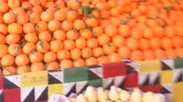 أسعار الفاكهة اليوم في الإسماعيلية الخميس 27-3-2025.. اليوسفي يصل لـ15 جنيهًا