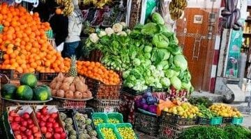 أسعار الفاكهة اليوم في الإسماعيلية: اليوسفي بـ15 جنيهًا والأسعار المتاحة للأربعاء 5-3-2025