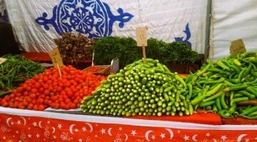 تحديث أسعار الخضروات في أسواق مطروح ليوم الإثنين 10 مارس 2025: الطماطم تسجل 4 جنيهات