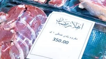 أسعار اللحوم اليوم بمحافظة مطروح الخميس 27-3-2025.. البلدي يصل لـ330 جنيها