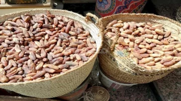 التمر: سرّ الصحة والطاقة على مائدتك الرمضانية