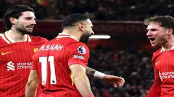 موعد مباراة ليفربول وساوثهامبتون: القنوات الناقلة وتفاصيل اللقاء الشيّق