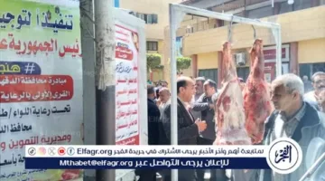 قافلة اللحوم تصل اليوم إلى المنصورة وتمي الأمديد بسعر 260 جنيه فقط