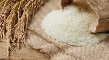 يبدأ بـ 26 جنيهًا.. تعرف على أسعار الأرز اليوم الثلاثاء في الأسواق