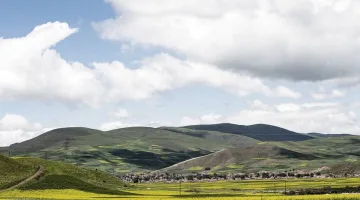 تحويل التبت إلى منطقة زراعية يعزز التنوع البيولوجي ويحمي الطبيعة في آسيا