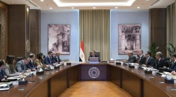 رئيس الوزراء يستعرض مشروعاً مقترحاً لإنتاج الهيدروجين والأمونيا الخضراء بخليج السويس