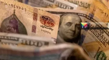 سعر الدولار اليوم أمام الجنيه المصري في البنوك وشركات الصرافة 26 مارس 2025