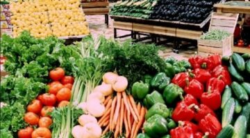 تقرير يومي: أحدث أسعار الخضراوات والفواكه في أسواق الوادي الجديد بتاريخ 10 رمضان