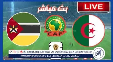 يلا شوت بث مباشر.. مشاهدة مباراة الجزائر × موزمبيق اليوم مجانا بدون تشفير