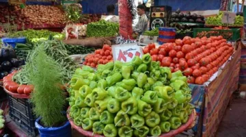 أسعار الخضار اليوم في سوق العبور: ارتفاع البصل وهبوط ورق العنب 40 جنيهاً