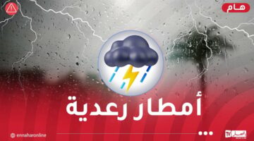 أمطار رعدية على 10 ولايات بداية من اليوم – مصربوست