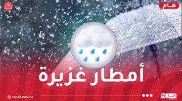 أمطار رعدية غزيرة على 21 ولاية! – مصربوست