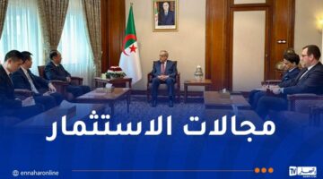 العرباوي يستعرض سبل تنويع المحتوى الاقتصادي للشراكة مع الصين – مصربوست