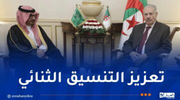 توحيد الصف العربي وإجهاض محاولات التهجير القسري للفلسطينيين – مصربوست