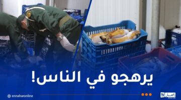 كشف مذبح سري واستيلاء على 115 قنطارًا من اللحوم الفاسدة بمنطقة بئر مراد رايس – مصربوست