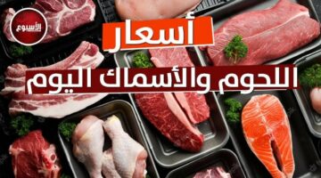 أسعار اللحوم اليوم الخميس 6 مارس 2025: أبرز التغيرات ونصائح للشراء بذكاء