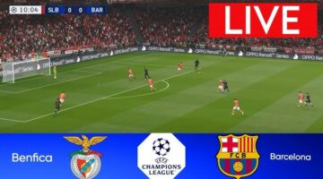 مشاهدة مباراة برشلونة ضد بنفيكا بث مباشر عبر يلا شوت في دوري أبطال أوروبا اليوم
