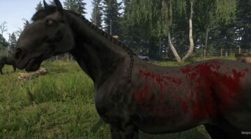 أبرز الخيول في Kingdom Come: Deliverance 2 – ختام السلسلة