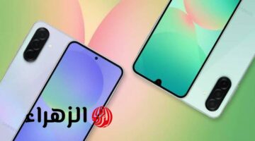 شاب مصري يبتكر هاتفًا يعمل بالطماطم بدون بطارية ويخطف أنظار السعودية!