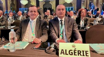 محاربة الشغب في ملاعب الجزائر: توصيات وتدابير جديدة للحد من الظاهرة