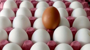أسعار البيض ترتفع: كيف تؤثر سيطرة أمريكا على السوق التركي؟
