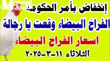 أسعار الفراخ البيضاء في بورصة الدواجن يوم الثلاثاء 11 مارس 2025 بناءً على أحدث التعاملات