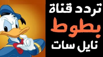 بجودة فائقة.. تردد قناة بطوط Batoot 2025 الجديد على النايل سات والعرب سات وأبرز مميزاتها