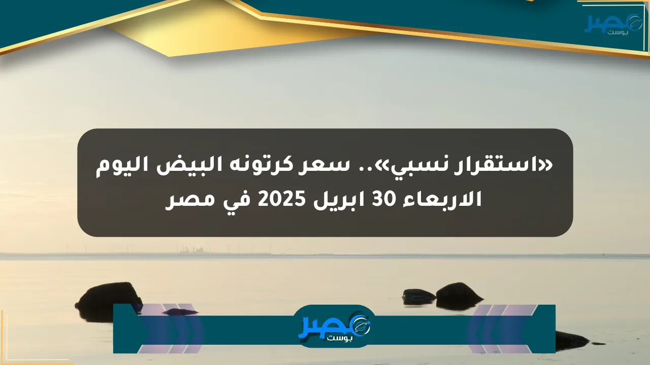 نيوز برو : «استقرار نسبي».. سعر كرتونة البيض اليوم الأربعاء 30 أبريل 2025 في مصر