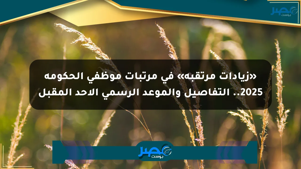 نيوز برو : «زيادات مرتقبة» في مرتبات موظفي الحكومة 2025.. التفاصيل والموعد الرسمي الأحد المقبل