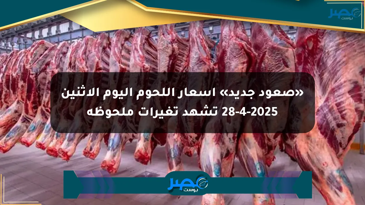 نيوز برو : «صعود جديد» أسعار اللحوم اليوم الإثنين 28-4-2025 تشهد تغيرات ملحوظة