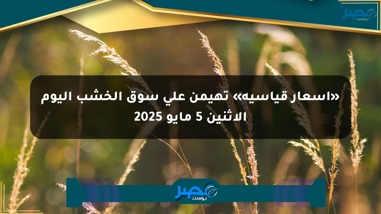نيوز برو : «أسعار قياسية» تهيمن على سوق الخشب اليوم الإثنين 5 مايو 2025