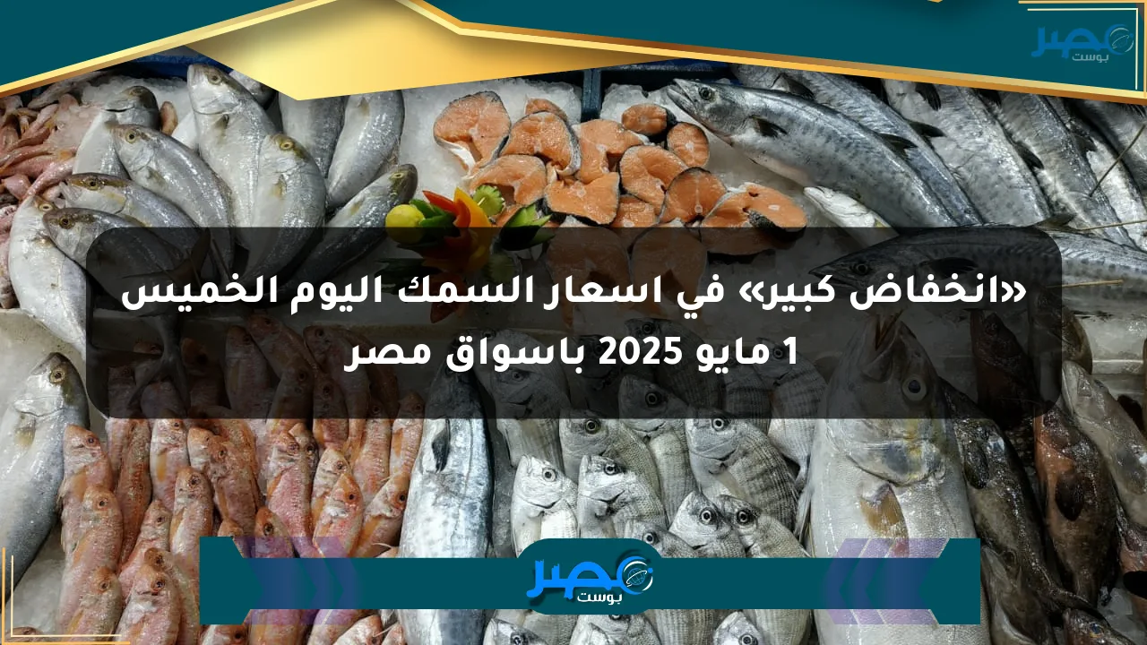 نيوز برو : «انخفاض كبير» في أسعار السمك اليوم الخميس 1 مايو 2025 بأسواق مصر