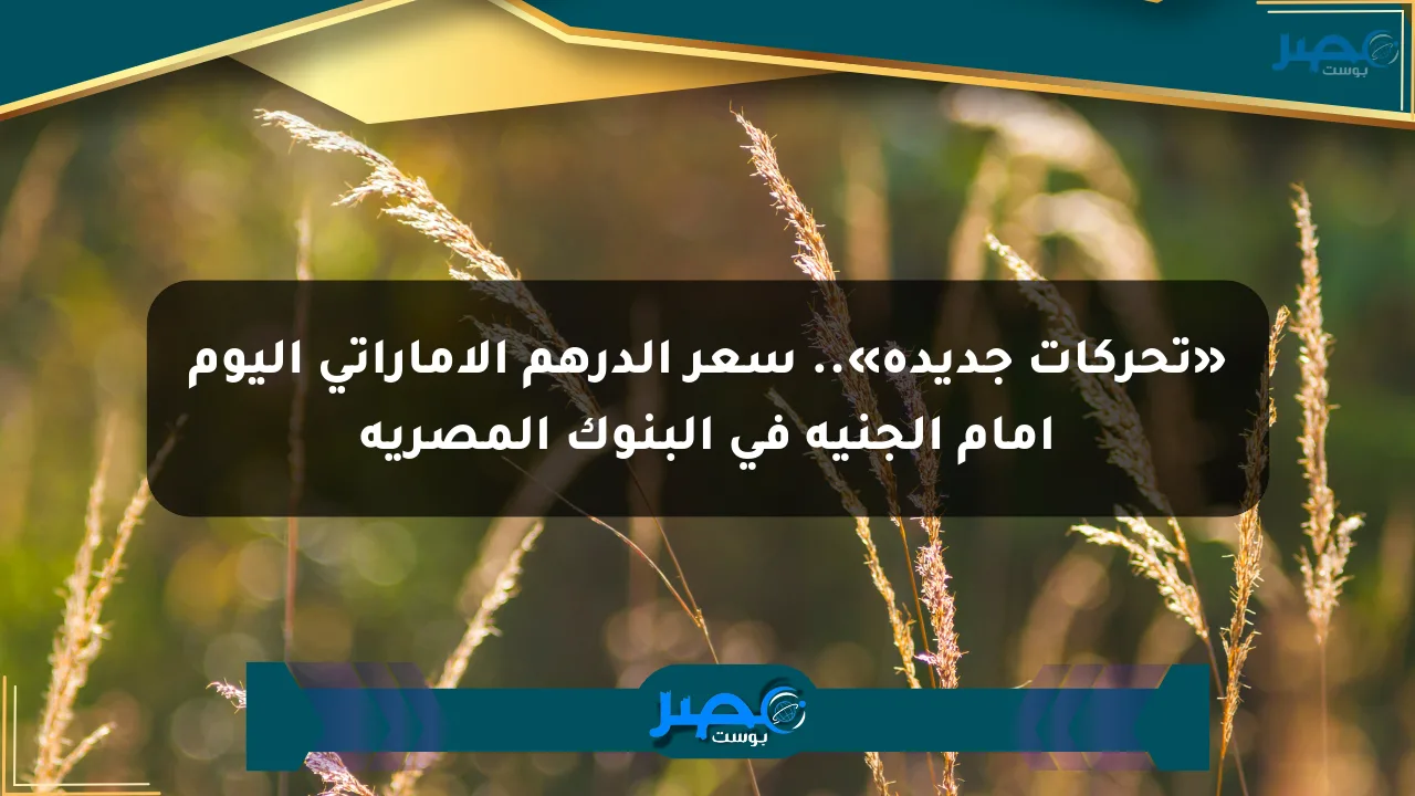 نيوز برو : «تحركات جديدة».. سعر الدرهم الإماراتي اليوم أمام الجنيه في البنوك المصرية