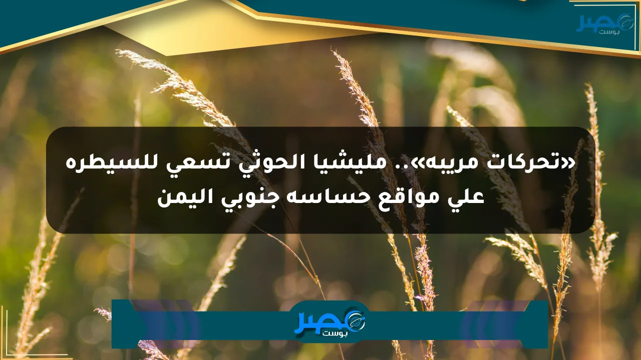 نيوز برو : «تحركات مريبة».. مليشيا الحوثي تسعى للسيطرة على مواقع حساسة جنوبي اليمن