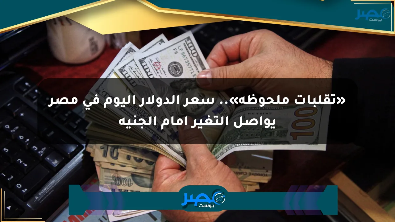 نيوز برو : «تقلبات ملحوظة».. سعر الدولار اليوم في مصر يواصل التغير أمام الجنيه