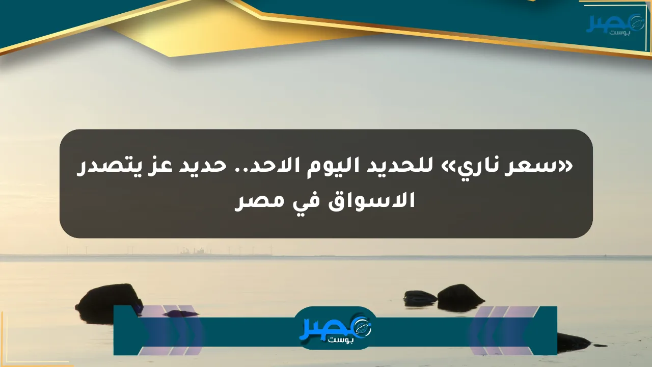 نيوز برو : «سعر ناري» للحديد اليوم الأحد.. حديد عز يتصدر الأسواق في مصر