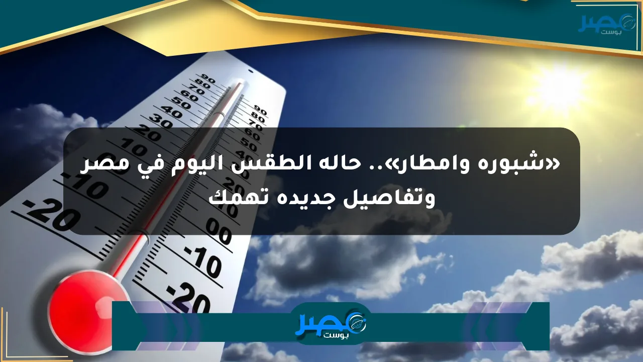 نيوز برو : «شبورة وأمطار».. حالة الطقس اليوم في مصر وتفاصيل جديدة تهمك