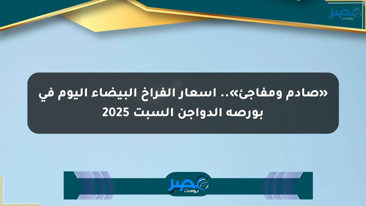نيوز برو : «صادم ومفاجئ».. أسعار الفراخ البيضاء اليوم في بورصة الدواجن السبت 2025