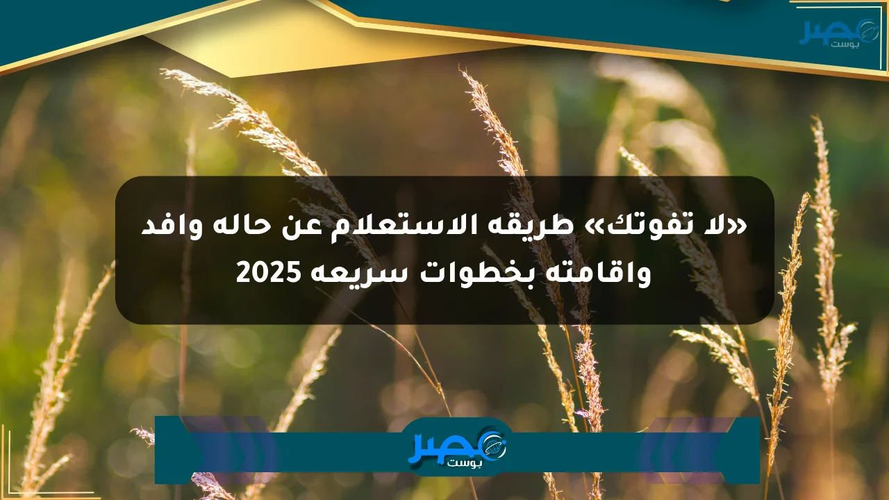 نيوز برو : «لا تفوتك» طريقة الاستعلام عن حالة وافد وإقامته بخطوات سريعة 2025